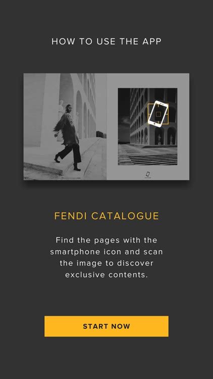 fendi srl presidente|what is fendi known for.